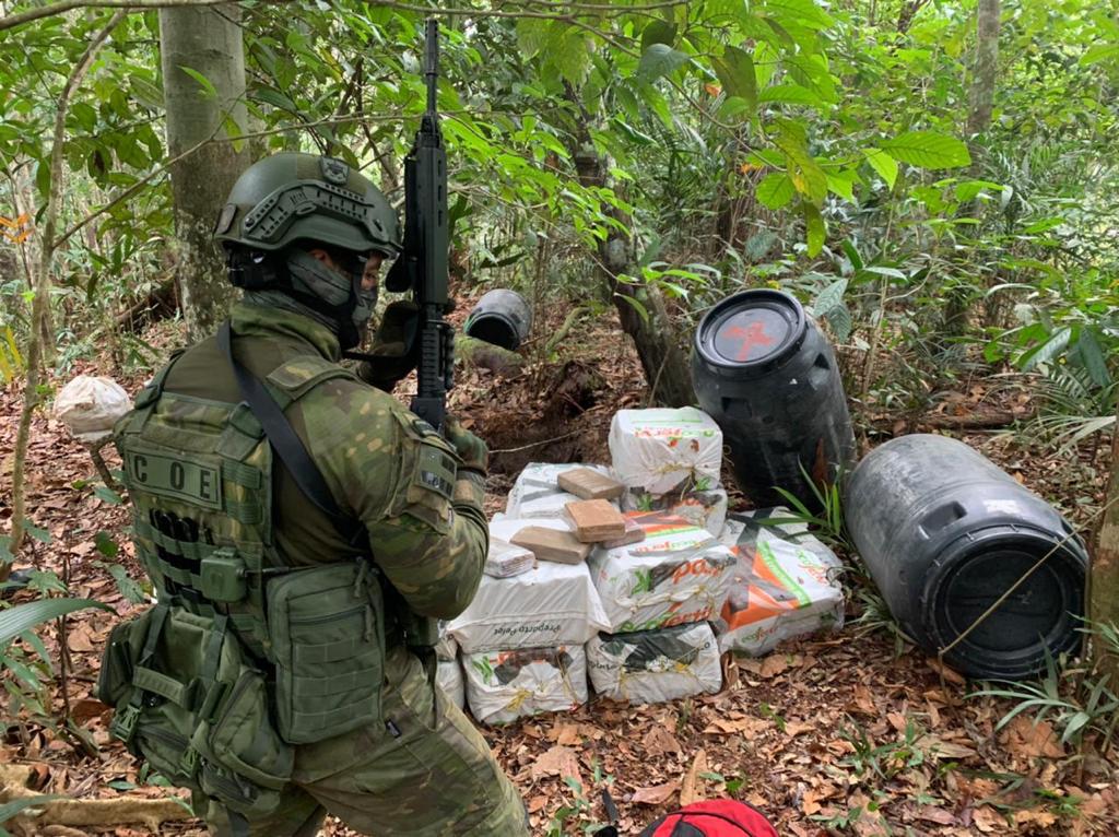 Polícia apreende 17 cobras, jabuti, maconha e ovos de répteis em