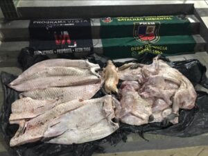Imagem da notícia - PM apreende mais de 600 quilos de pescado e carne de animais silvestres