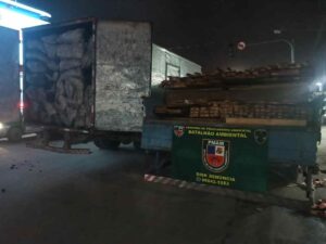 Imagem da notícia - PM apreende madeira serrada e carvão vegetal em Rio Preto da Eva