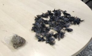 Imagem da notícia - No Alvorada, um dos autores de ataques é preso e criança  é apreendida