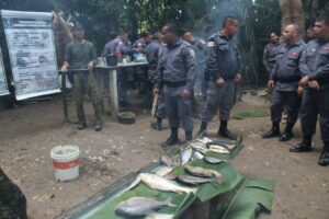 Imagem da notícia - Alunos soldados passam por instrução de sobrevivência na selva na COE