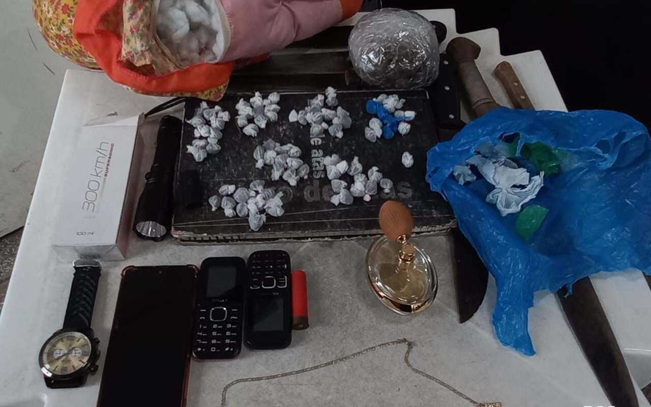 Careiro castanho edited