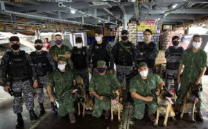 Imagem da notícia - Em ação com Marinha, PM treina cães no combate ao narcotráfico