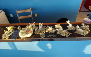 Imagem da notícia - Operação “Repiquete” prende homem e apreende adolescente em Guajará