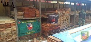 Imagem da notícia - Em ações, PMAM apreende carga de madeira e duas toneladas de pirarucu