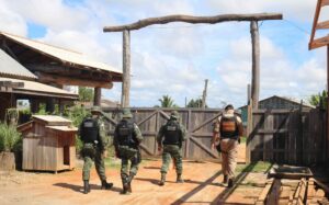 Imagem da notícia - ‘Operação Tamoiotatá’ apreende mais de 400 metros cúbicos de madeira