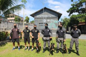 Imagem da notícia - Companhia da PM ganha reforço de filhotes de cães para ações policiais