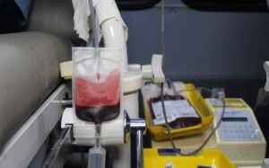 Imagem da notícia - Servidores da SSP, Seinfra e Sejusc realizaram doação de  bolsas de sangue
