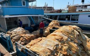 Imagem da notícia - Delegacia do Meio Ambiente doa pescado e carne de jacaré para entidades