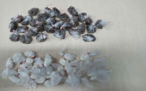 Imagem da notícia - Em ações, Polícia Militar prende 15 pessoas nas últimas 24 horas