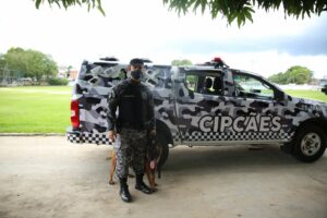 Imagem da notícia - CIPCães da PMAM prende homem com drogas no bairro Compensa