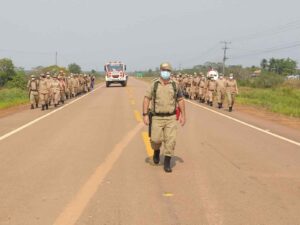 Imagem da notícia - Operação Tamoiotatá fiscaliza locais com registro de crimes ambientais