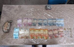 Imagem da notícia - PC-AM prende mulher por tráfico de drogas e tráfico ambiental