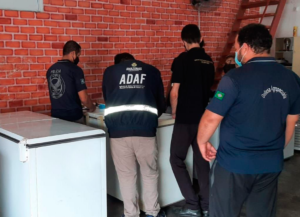 Imagem da notícia - PC deflagra Operação Lula Molusco e apreende quatro toneladas de pescado