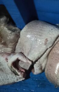 Imagem da notícia - Na capital, PMAM apreende 400 quilos de pescado ilegal