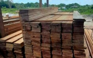 Imagem da notícia - PMAM apreende madeira ilegal em ação em Manacapuru