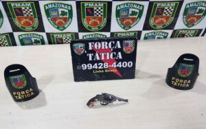 Imagem da notícia - Força Tática apreende armas de fogo em ações nas zonas sul e norte da capital