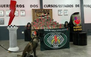 Imagem da notícia - Força Tática e CIPCães apreendem drogas e detêm um homem na zona leste