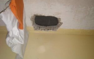 Imagem da notícia - Seap frustra nova tentativa de fuga de detentos