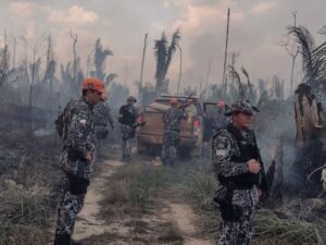 Imagem da notícia - Operação Tamoiotatá resgata trabalhador e apreende madeira ilegal