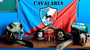 Imagem da notícia - Homem é preso durante operação de combate ao desmatamento