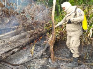 Imagem da notícia - Bombeiros militares combatem incêndio  durante operação Tamoiotatá