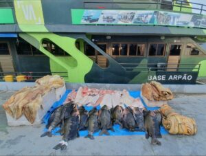 Imagem da notícia - Base Arpão apreende mais de 700 quilos de pescado ilegal em embarcação