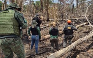 Imagem da notícia - Em Humaitá, agentes da operação Tamoiotatá prendem três homens por crime ambiental