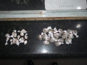 Imagem da notícia - Polícia Militar apreende adolescente com drogas, no Centro