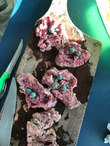 Imagem da notícia - PC-AM prende mulher que tentava levar drogas em pedaços de carne para dentro da carceragem de Novo Airão