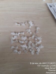 Imagem da notícia - No bairro Colônia Terra Nova, PMAM prende jovem por tráfico de drogas