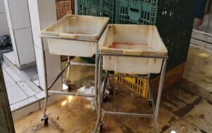 Imagem da notícia - Polícia Civil do Amazonas deflagra Operação Abatedouro Clandestino