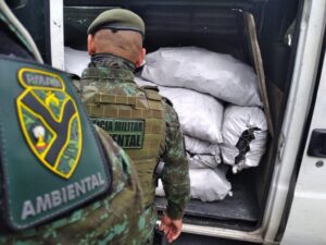 Na AM-010, Polícia Militar apreende carga de carvão vegetal de procedência ilegal