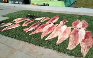 Imagem da notícia - Ações da operação Fronteira Mais Segura geraram mais de R$ 150 mil em prejuízo ao crime