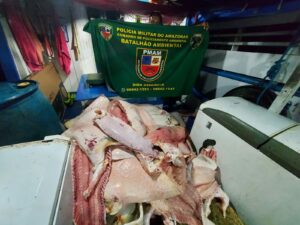 Imagem da notícia - Na capital, PMAM apreende quase 3 toneladas de pescado ilegal