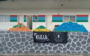 Imagem da notícia - Operação Hórus: mais de 400 quilos de drogas são apreendidos no município de Alvarães