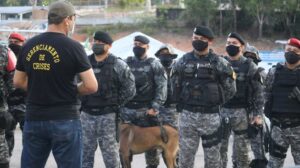 Imagem da notícia - SSP-AM registra redução de mais de 50% em crimes de homicídios em Tabatinga