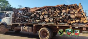 Imagem da notícia - Polícia Militar detém cinco homens por crime ambiental, em ações em Manaus e Iranduba