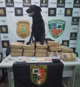 Imagem da notícia - Cadela Zoe da PMAM auxilia em prisão e apreensão de drogas em Manaus