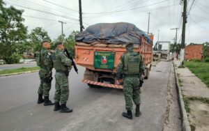 Batalhão Ambiental da PMAM apreende madeira ilegal na BR-319