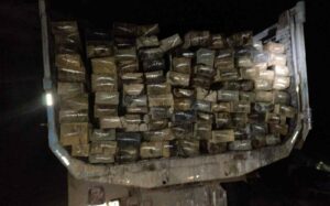 Imagem da notícia - PMAM apreende carga de madeira ilegal na rodovia Manoel Urbano