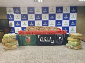 Em dez meses, ações da COE da PMAM resultaram na apreensão de mais de 10 toneladas de drogas