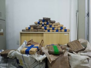 Imagem da notícia - Operação Hórus/Fronteira Mais Segura apreende mais de 130 quilos de entorpecentes em Barcelos