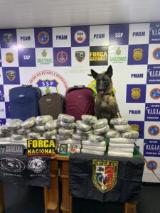 Base Arpão: Ação policial apreende 45 tabletes de drogas 