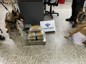 Imagem da notícia - Disque 181 – Denúncias repassadas à SSP-AM resultam na prisão de dois homens com drogas no Aeroporto de Guarulhos (SP) 