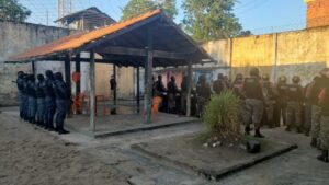 Imagem da notícia - <strong src=