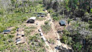 Imagem da notícia - Forças de Segurança apuram denúncias de queimadas e desmatamento ilegal em Humaitá