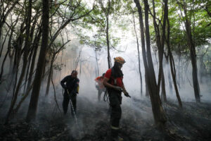 Em Iranduba, Corpo de Bombeiros monta força-tarefa para combater incêndio em área de mata