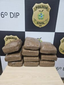 Imagem da notícia - Polícia Civil do Amazonas apreende cerca de 10 tabletes de maconha tipo skunk avaliados em R$ 150 mil