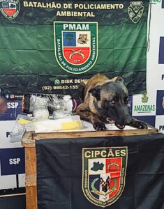 Imagem da notícia - Com auxílio de cão policial, SSP-AM apreende droga avaliada em R$ 38 mil em lancha expresso, em Coari